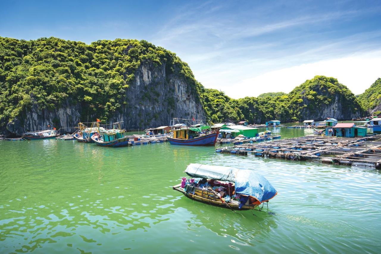 Sena Cruises - Wonder On Lan Ha Bay Hotell Ha Long Exteriör bild